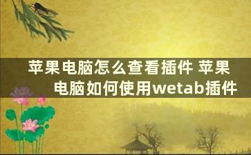 苹果电脑怎么查看插件 苹果电脑如何使用wetab插件